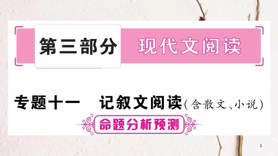 （重庆专版）中考语文总复习 第3部分 现代文阅读 专题11 记叙文阅读课件_第1页