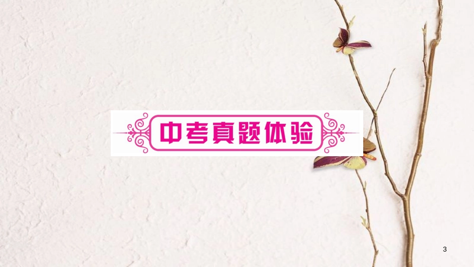 （重庆专版）中考语文总复习 第3部分 现代文阅读 专题11 记叙文阅读课件_第3页