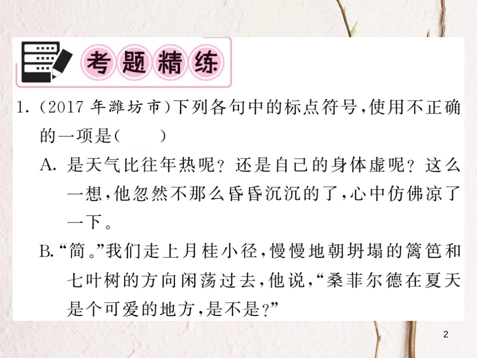 中考语文二轮复习 专题突破讲读 第1部分 语言积累与运用 专题四标点符号课件(1)_第2页