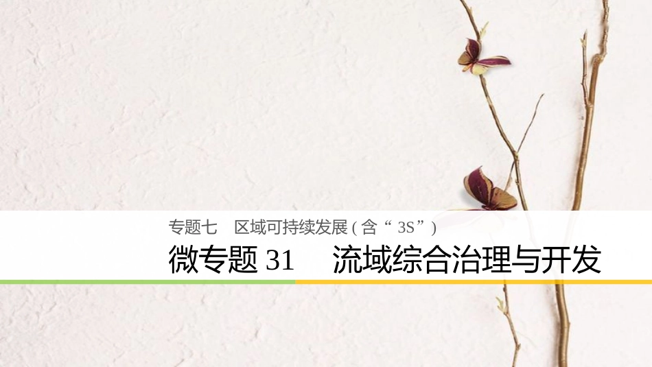 （浙江选考）高考地理大二轮复习 专题七 区域可持续发展（含“3S”）微专题31 流域综合治理与开发课件(1)_第1页