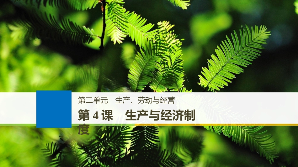 （江苏专版）2019届高考政治一轮复习 第二单元 生产、劳动与经营 第4课 生产与经济制度课件 新人教版必修1_第1页