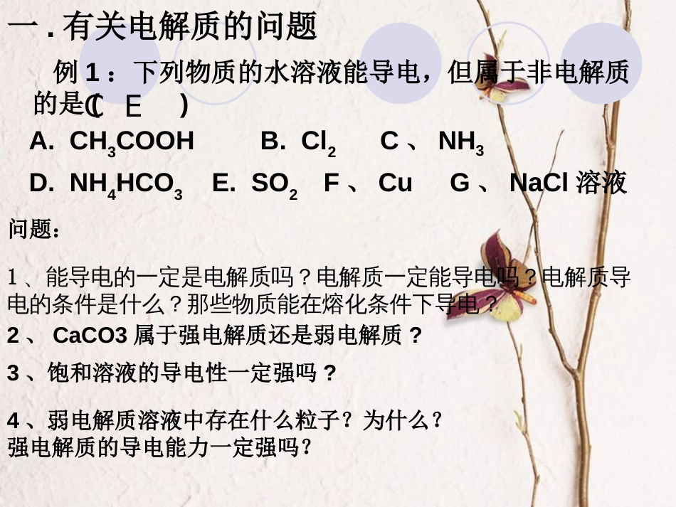 广东省惠东县高考化学一轮复习 第二章 化学物质及其变化 第2-3讲 离子反应和离子反应方程式课件_第2页