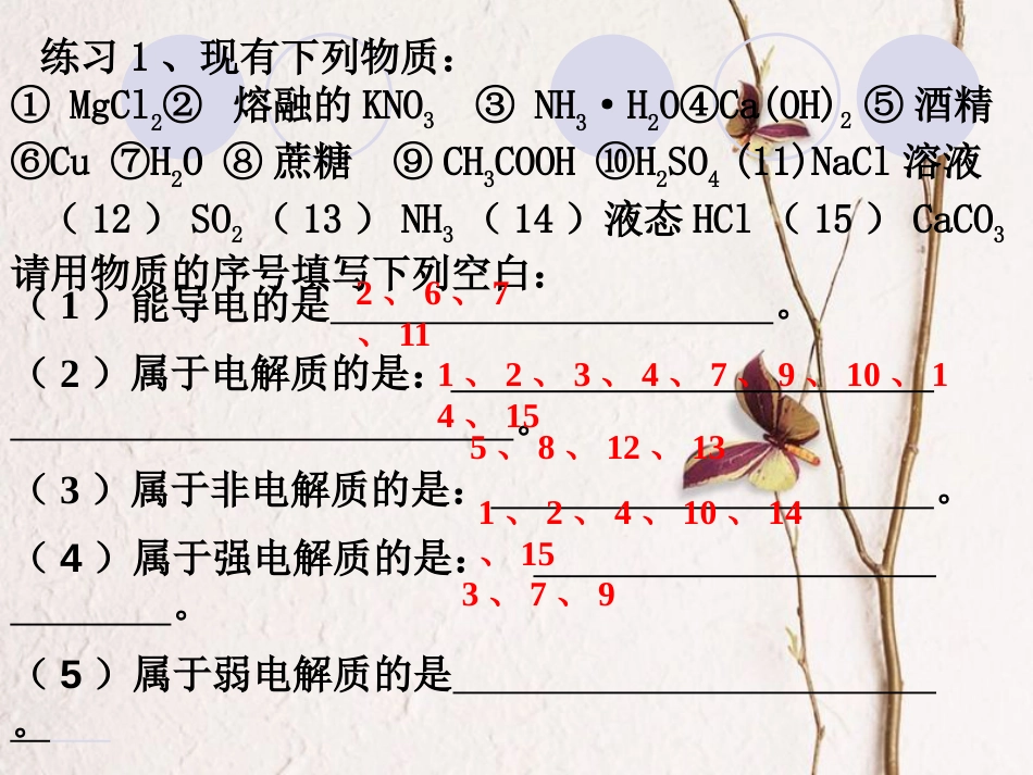 广东省惠东县高考化学一轮复习 第二章 化学物质及其变化 第2-3讲 离子反应和离子反应方程式课件_第3页