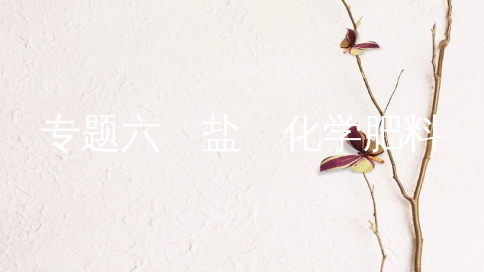 安徽省中考化学一轮复习 第一部分 考点知识梳理 模块一 身边的化学物质 专题六 盐 化学肥料课件_第1页