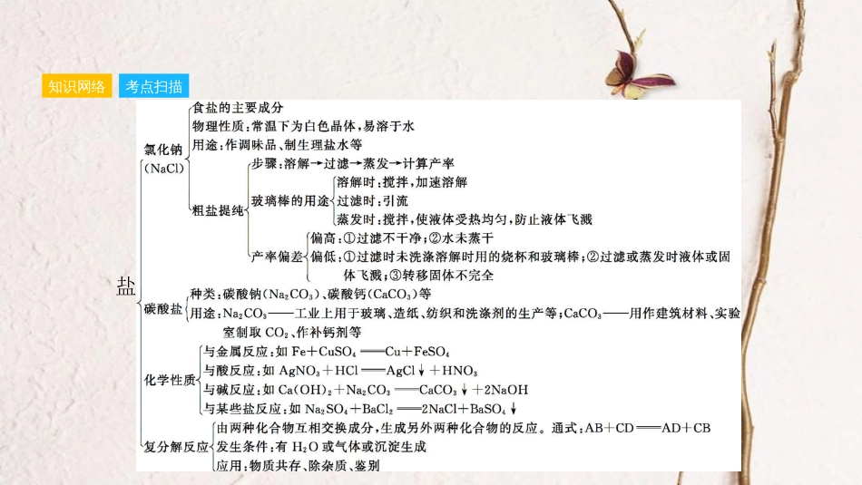 安徽省中考化学一轮复习 第一部分 考点知识梳理 模块一 身边的化学物质 专题六 盐 化学肥料课件_第3页