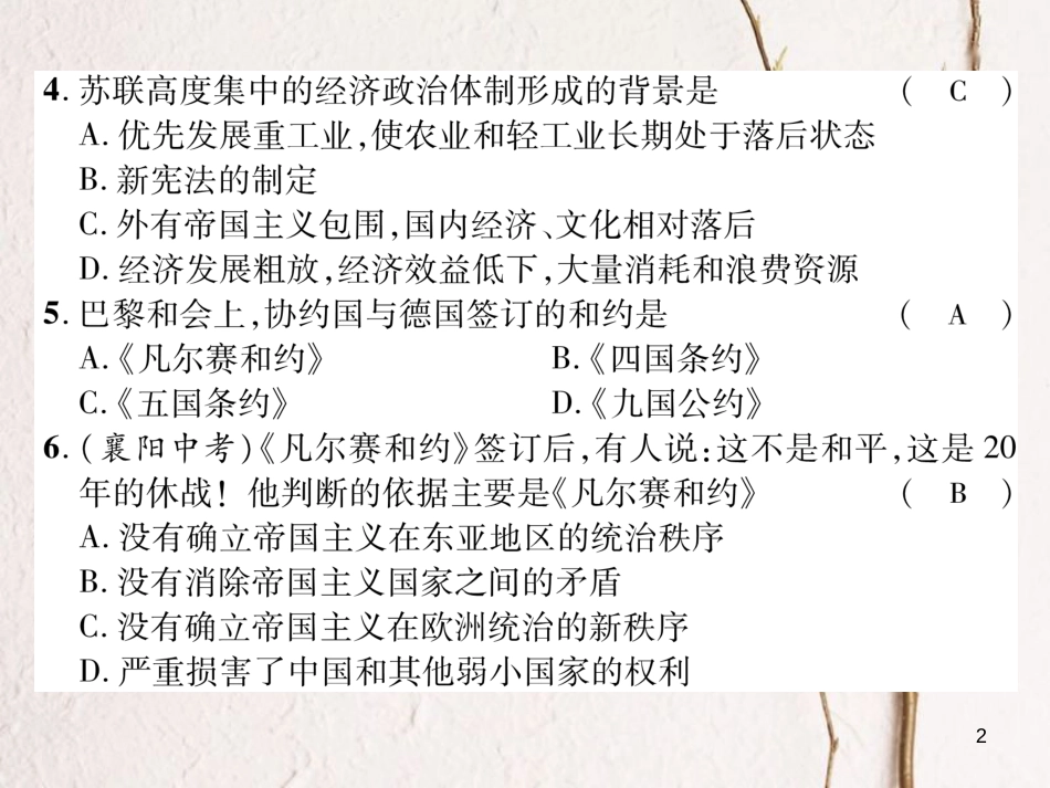 九年级历史下册 期中达标测试卷作业课件 新人教版_第2页