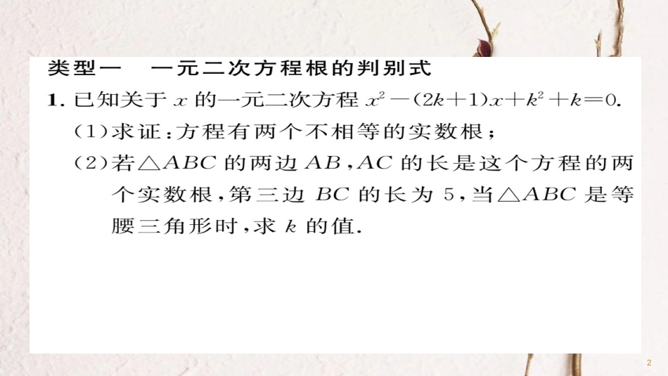 九年级数学下册 期末专题复习 专题一 一元二次方程根的判别式与一元二次方程的应用作业课件 （新版）华东师大版_第2页