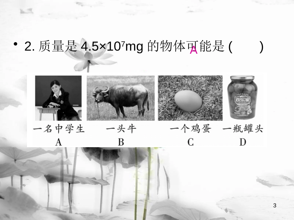 年八年级物理全册 第五章《质量与密度》单元小结与复习课件 （新版）沪科版_第3页