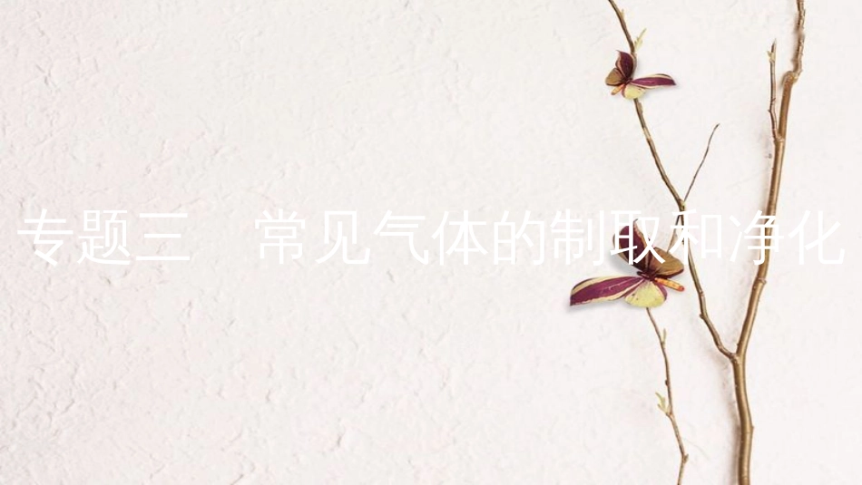 安徽省中考化学复习 第二部分 中考专题突破 专题三 常见气体的制取和净化课件(1)_第1页