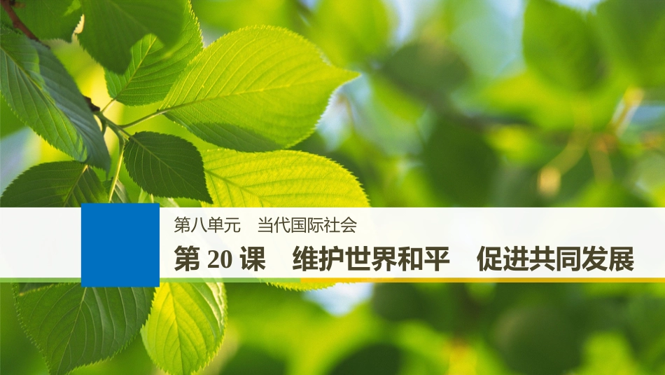 （江苏专版）2019届高考政治一轮复习 第八单元 当代国际社会 第20课 维护世界和平 促进共同发展课件 新人教版必修2_第1页