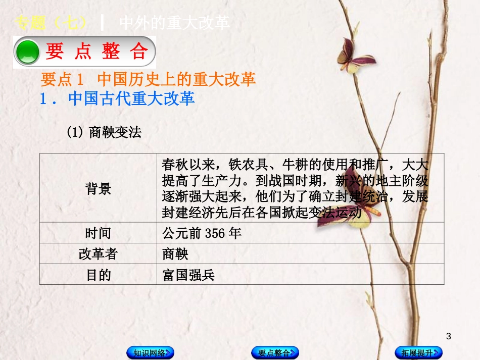 中考历史复习方案 专题突破篇 专题七 中外的重大改革课件 岳麓版(1)_第3页