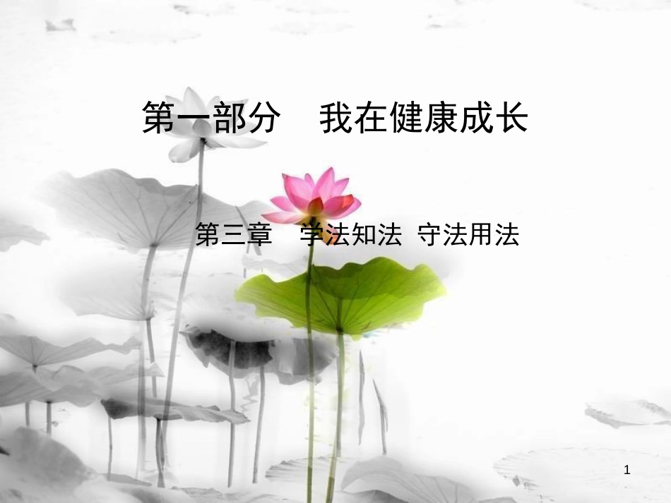 黑龙江省安达市2017-中考政治总复习 第三章 学法知法 守法用法课件(1)_第1页