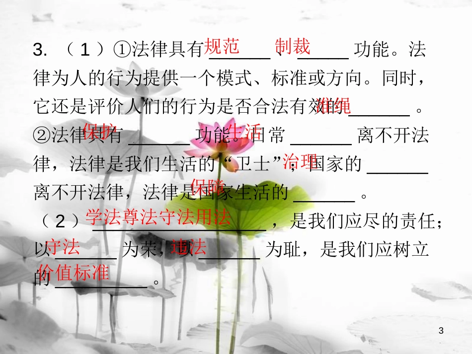 黑龙江省安达市2017-中考政治总复习 第三章 学法知法 守法用法课件(1)_第3页