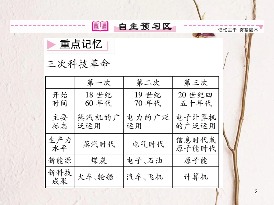 九年级历史下册 第八单元 现代科学技术和文化 第17课 第三次科技革命作业课件2 新人教版_第2页