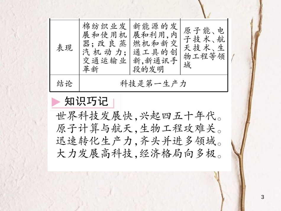 九年级历史下册 第八单元 现代科学技术和文化 第17课 第三次科技革命作业课件2 新人教版_第3页