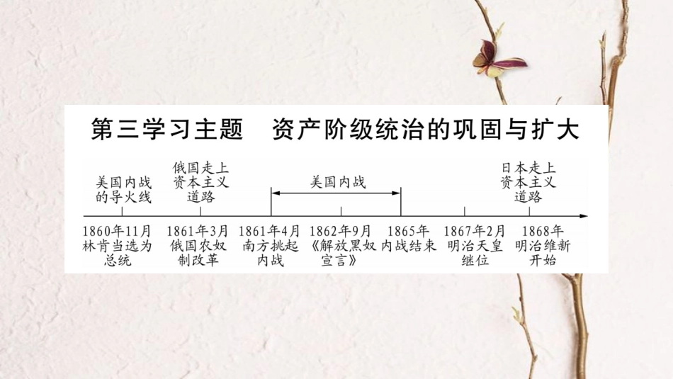 （达州专版）中考历史总复习 第一篇 教材系统复习 世界近代史 第3学习主题 资产阶级统治的巩固与扩大课件_第1页