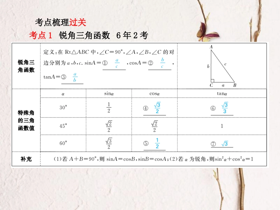 山东省滨州市中考数学复习 第四章 图形的认识与三角形 第16讲 解直角三角形课件(1)_第2页