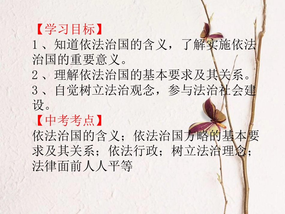 九年级政治全册 第四单元 又到两会时 第十二课《法律的尊严》课件1 教科版_第2页