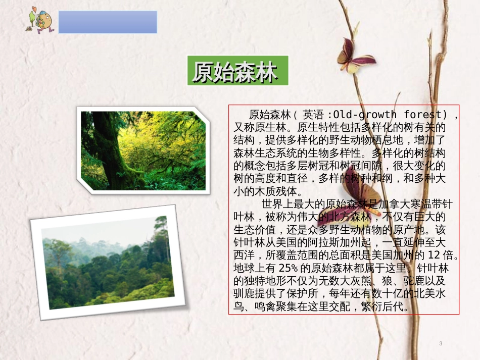 二年级语文下册 课文7 23 祖先的摇篮课件1 新人教版_第3页