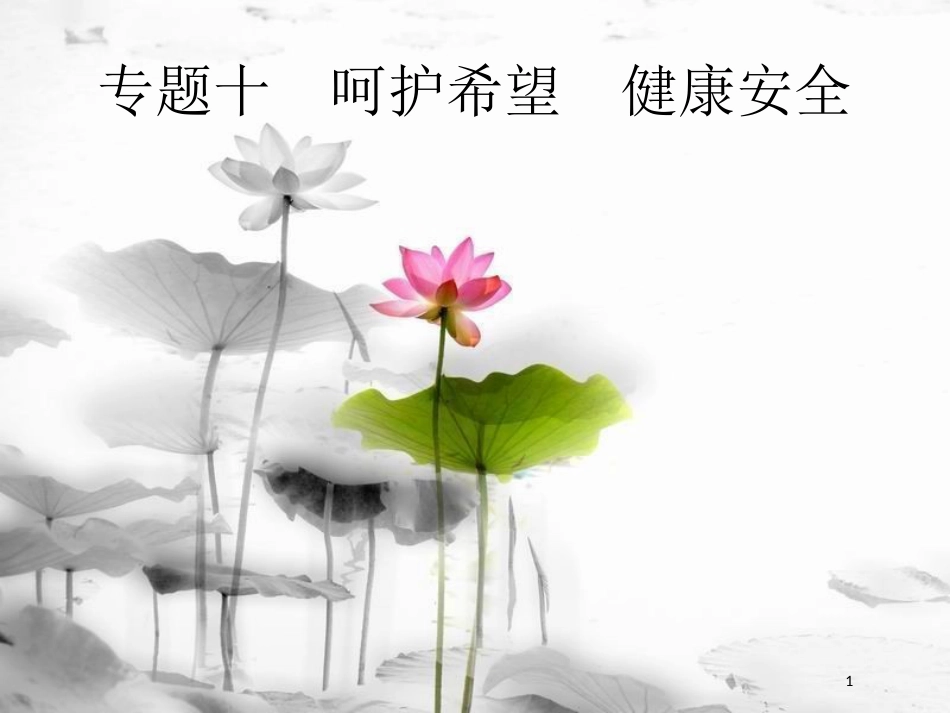 安徽省届中考政治一轮复习 第二编 能力素养提升 第一部分 时政热点突破 专题10 呵护希望 健康安全课件_第1页