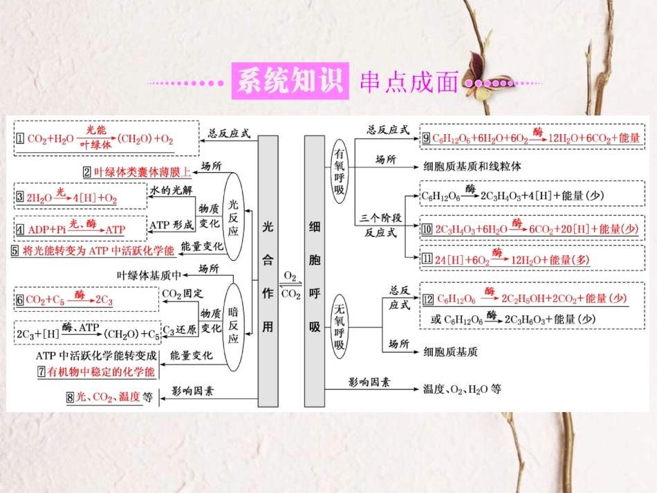 （全国通用）高考生物二轮复习 专题二 代谢 串讲二 细胞呼吸与光合作用 第1课时 基础自查课件_第2页