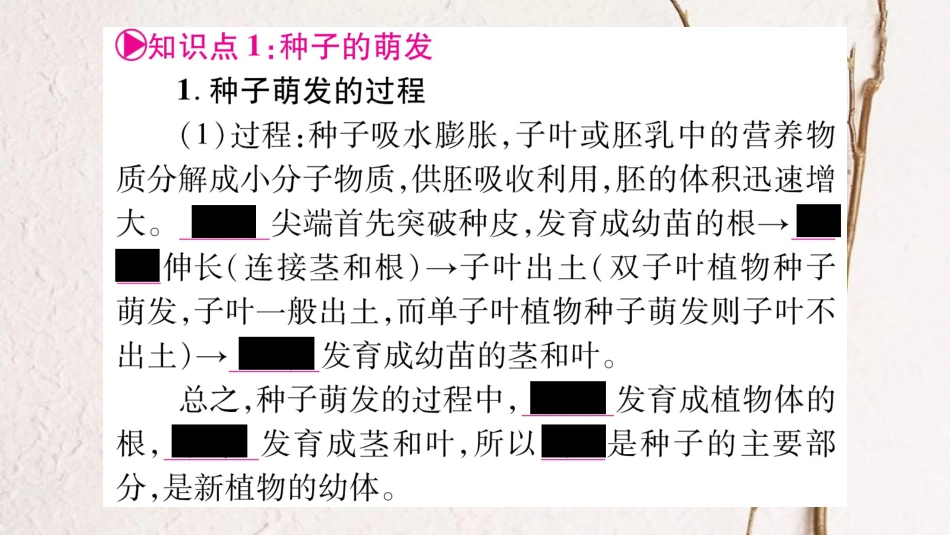 中考生物总复习 八上 第3单元 第1、2章教材考点梳理课件 冀教版(1)_第2页