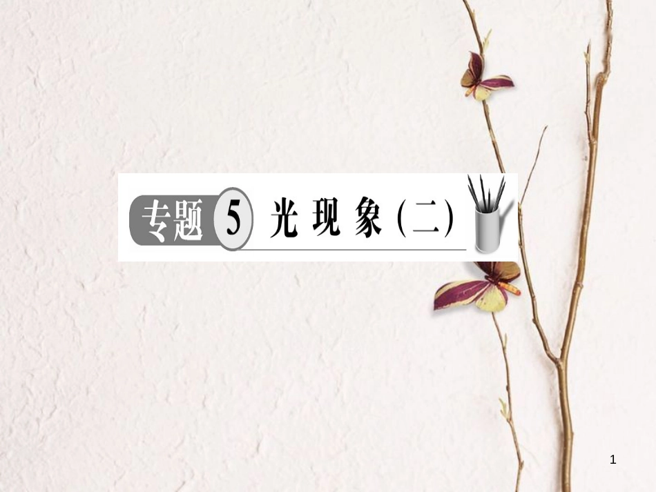中考物理 专题5 光现象（二）复习课件_第1页