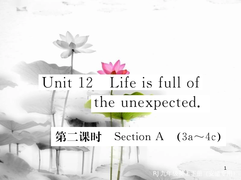 （安徽专版）九年级英语全册 Unit 12 Life is full of the unexpected（第2课时）习题课件 （新版）人教新目标版_第1页