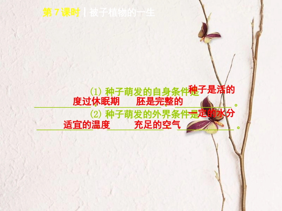 中考生物 第三单元 生物圈中的绿色植物 第7课时 被子植物的一生课件(1)_第3页