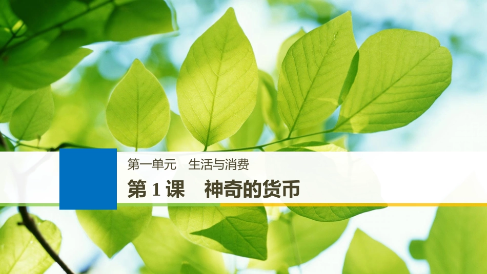 （江苏专版）2019届高考政治一轮复习 第一单元 生活与消费 第1课 神奇的货币课件 新人教版必修1_第1页
