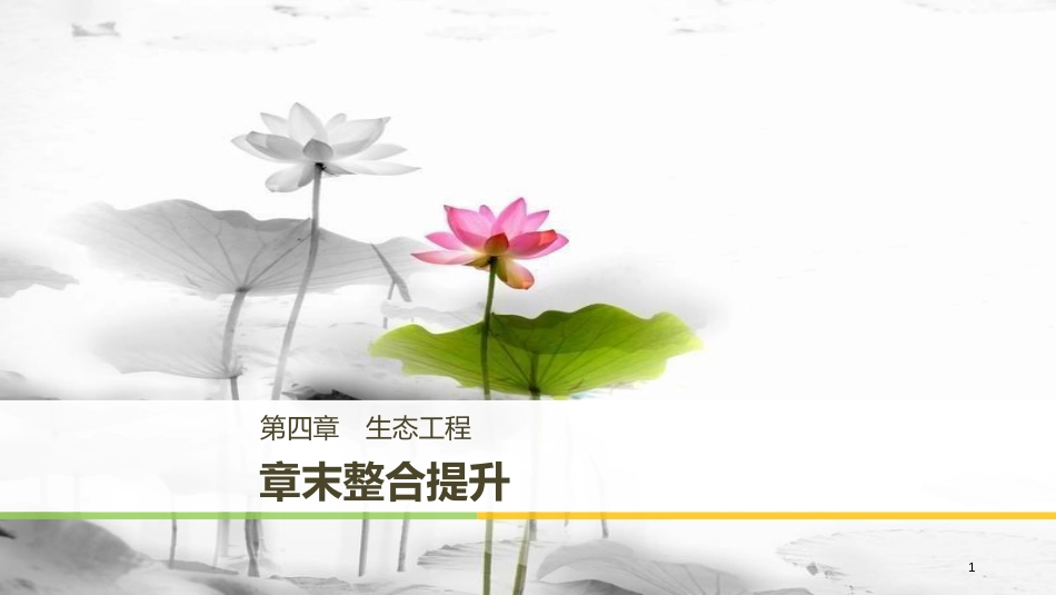2017-高中生物 第四章 生态工程章末整合提升课件 苏教版选修3_第1页