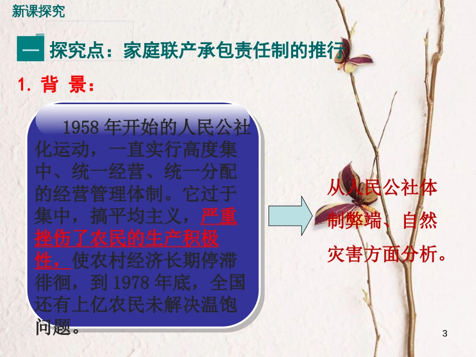 八年级历史下册 第三单元 社会主义现代化建设的新时期 第7课 改革开放的起步教学课件 川教版(1)_第3页