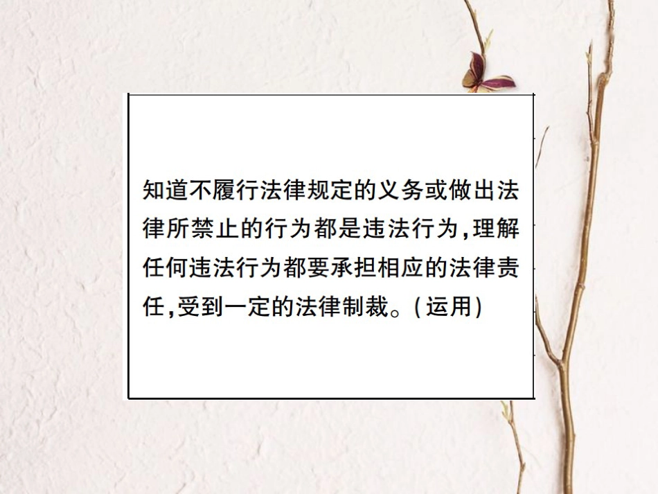 重庆市中考政治 专题复习五 感受法律威严 知道违法必究课件(1)_第3页