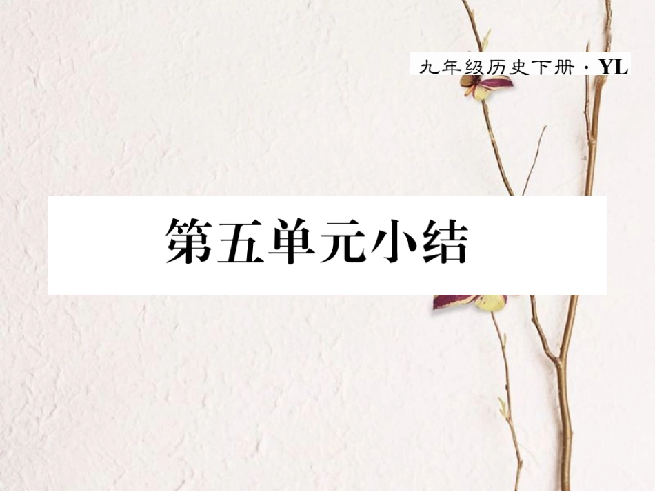 九年级历史下册 第五单元 社会主义国家的改革与演变小结作业课件 岳麓版_第1页