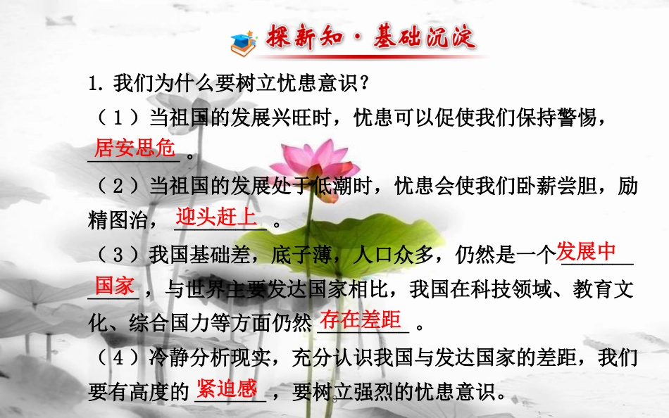九年级政治全册 第一单元 历史启示录 第三课《天下兴亡，匹夫有责》课件2 教科版(1)_第3页