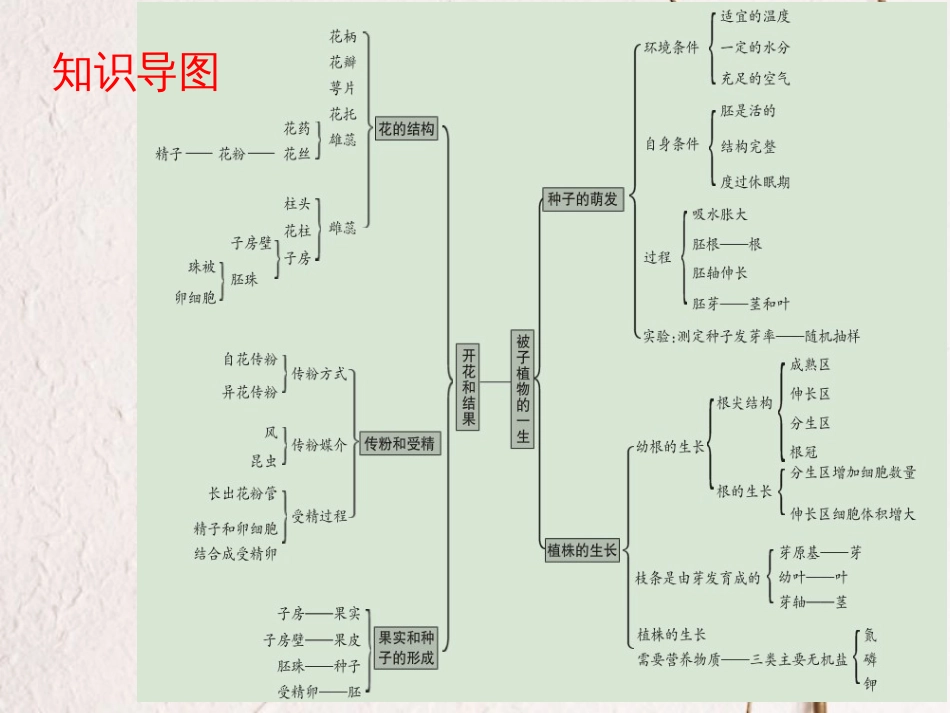 广东省中考生物 第三单元 生物圈中的绿色植物 第二章 被子植物的一生课件(1)_第3页