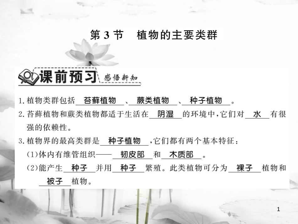 八年级生物下册 22.3 植物的主要类群课件 （新版）北师大版(1)_第1页