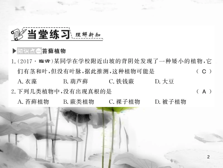 八年级生物下册 22.3 植物的主要类群课件 （新版）北师大版(1)_第2页