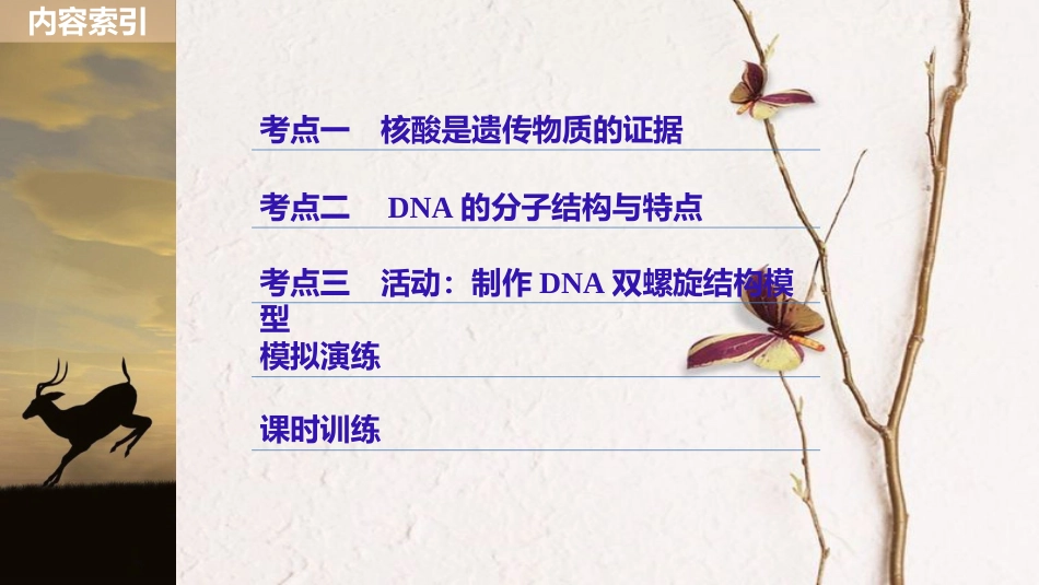 （浙江选考）2019版高考生物一轮总复习 第五单元 遗传的分子基础 第17讲 核酸是遗传物质的证据、DNA的分子结构和特点课件(1)_第3页