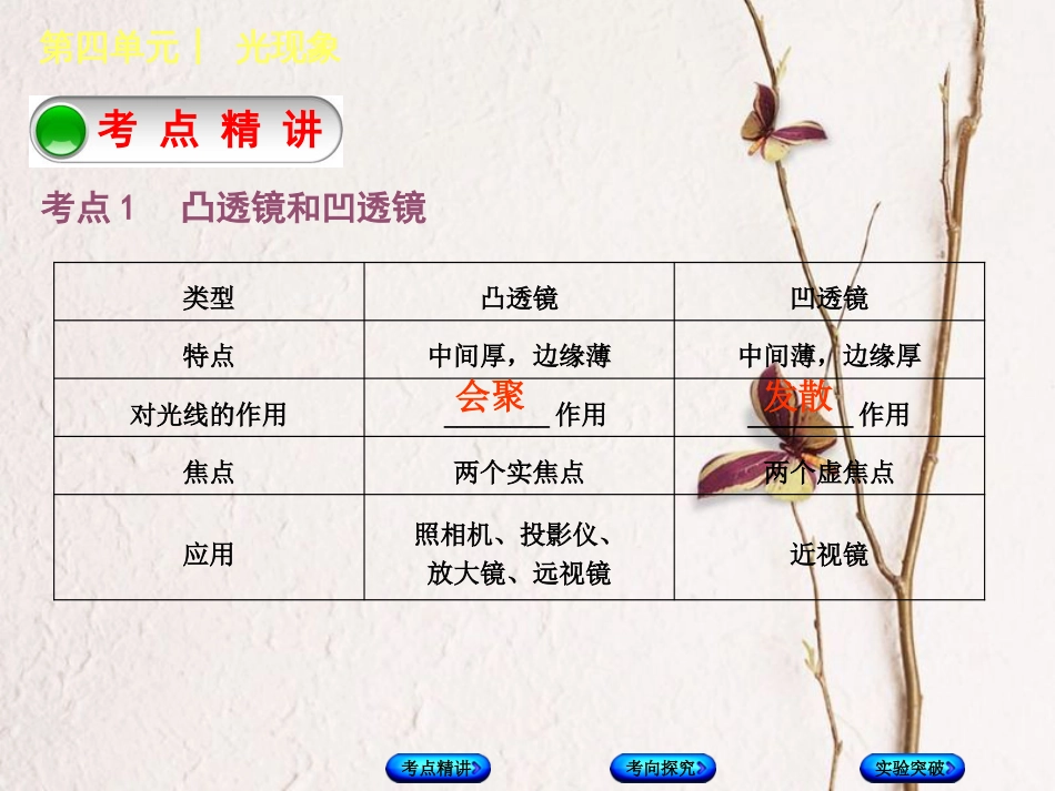 中考物理复习 第四单元 光现象 第6课时 透镜及其应用课件_第2页