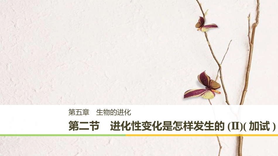 高中生物 第五章 生物的进化 第二节 进化性变化是怎样发生的（Ⅱ）课件 浙科版必修2_第1页