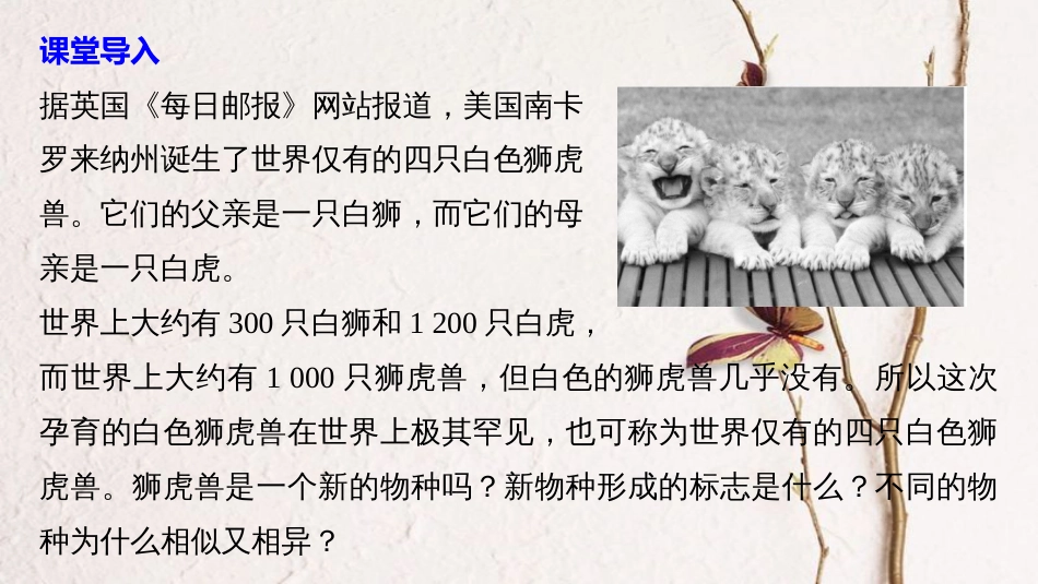 高中生物 第五章 生物的进化 第二节 进化性变化是怎样发生的（Ⅱ）课件 浙科版必修2_第3页