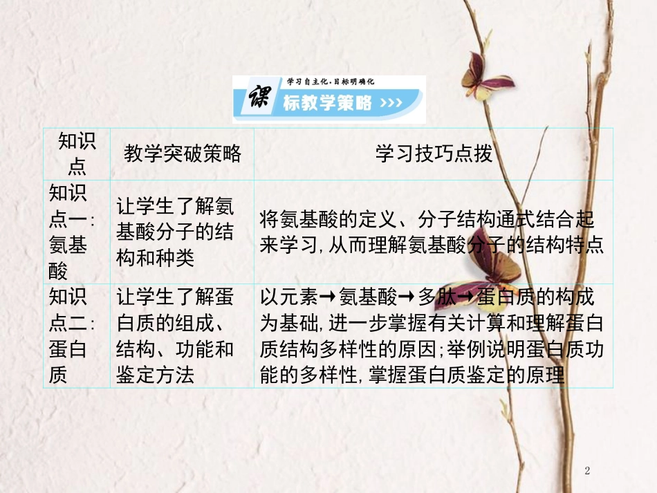 高中生物 第2单元 细胞的化学组成 第3课时 细胞中的生物大分子（二）复习课件 苏教版必修1(1)_第2页