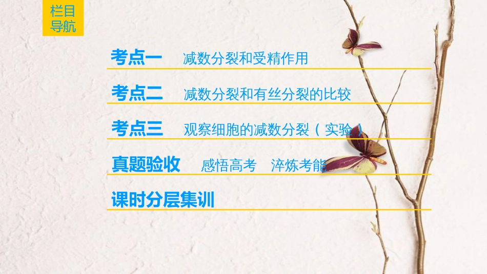 （全国版）2019版高考生物一轮复习 第4单元 细胞的生命历程 第2讲 减数分裂和受精作用课件(1)_第2页