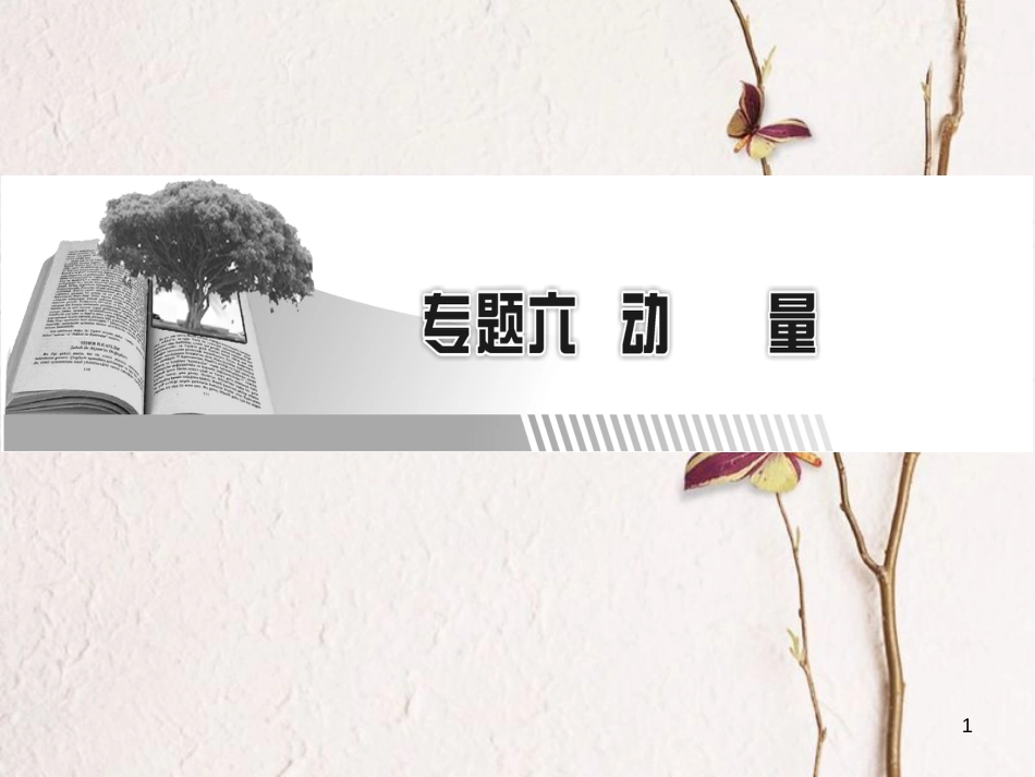高考物理一轮总复习 专题6 动量 第1讲 动量、动量守恒定律课件(1)_第1页