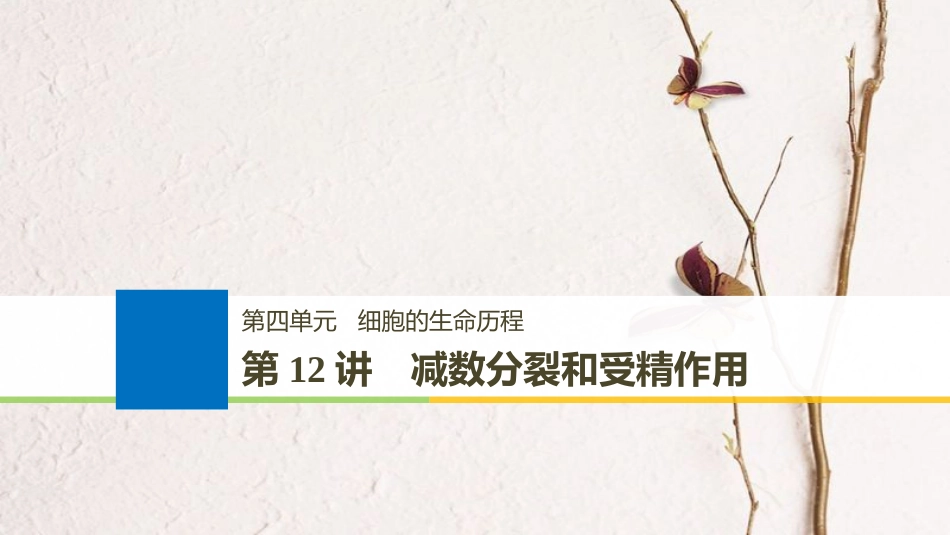 生物高考大一轮复习 第四单元 细胞的生命历程 第12讲 减数分裂和受精作用课件 北师大版(1)_第1页