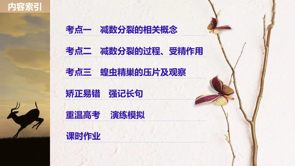 生物高考大一轮复习 第四单元 细胞的生命历程 第12讲 减数分裂和受精作用课件 北师大版(1)_第3页