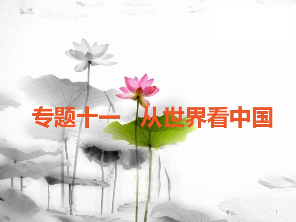 （广东专版）中考地理 中考解读 专题复习十一 从世界看中国课件_第1页