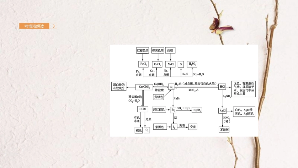 高考化学一轮总复习 专题8 氯及其化合物课件(1)_第3页