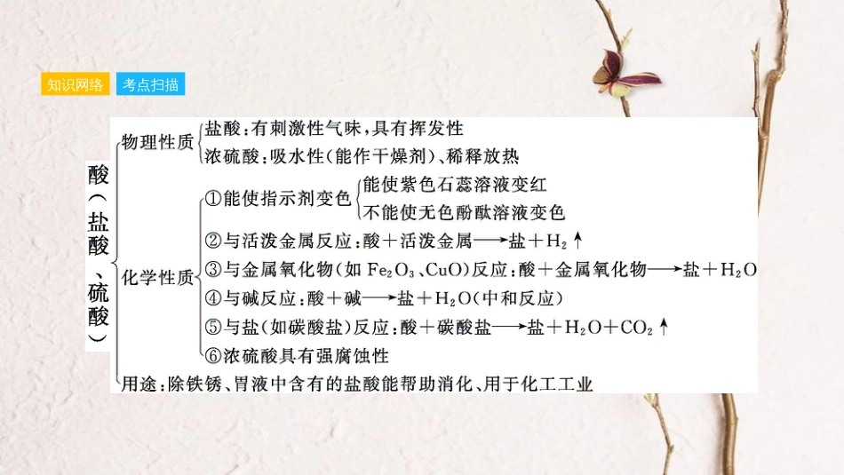 安徽省中考化学一轮复习 第一部分 考点知识梳理 模块一 身边的化学物质 专题五 常见的酸和碱课件_第3页